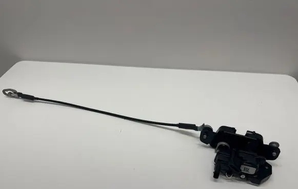 Ram 1500 Loading door lock P68312079AL 048634