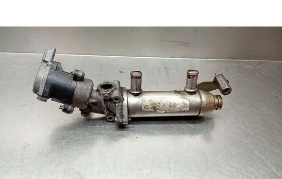 Peugeot 607 EGR valve