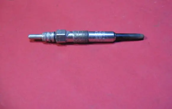 Volkswagen Golf IV Glow plug 0250202022 BERU