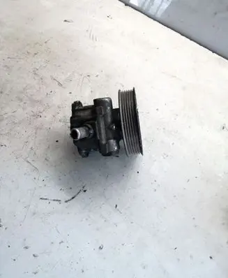 Volkswagen Golf IV Power steering pump 038145255B