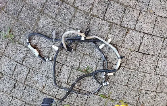 Ford Escape IV Parking sensor (PDC) wiring loom PZ1T15K868KNABC