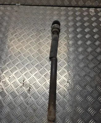 Ford Focus Rear shock absorber/damper