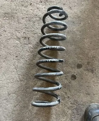 Rear coil spring