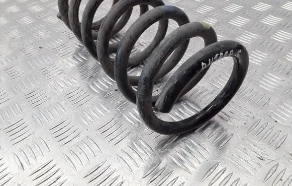 Opel Antara Rear coil spring