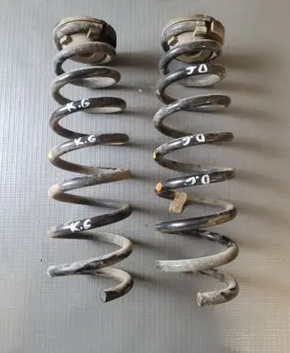 Rear coil spring