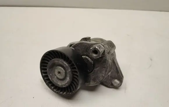 Mercedes-Benz CL C216 Timing belt/chain tensioner a1562000570