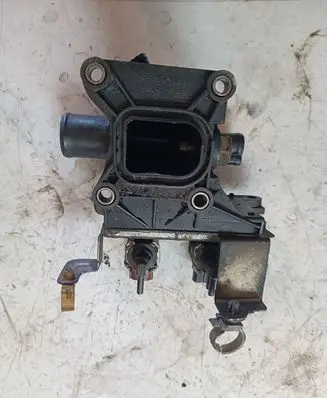 Thermostat/thermostat housing