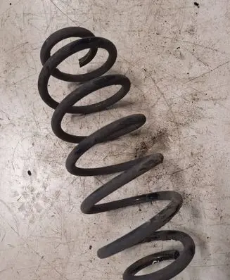 Rear coil spring
