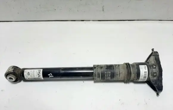 Rear shock absorber/damper