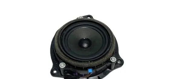 BMW X1 F48 F49 Front door speaker 9274700 34913