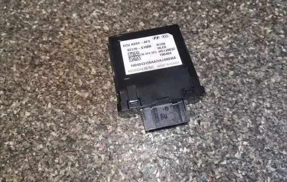 Hyundai Santa Fe Other control units/modules 92170S1000