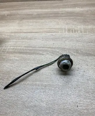 Tail light bulb cover holder