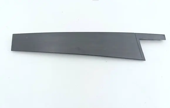 Volkswagen Atlas Rear door trim (molding) 3CN839901B