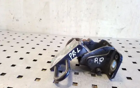 Volkswagen Touareg I Front door lower hinge 