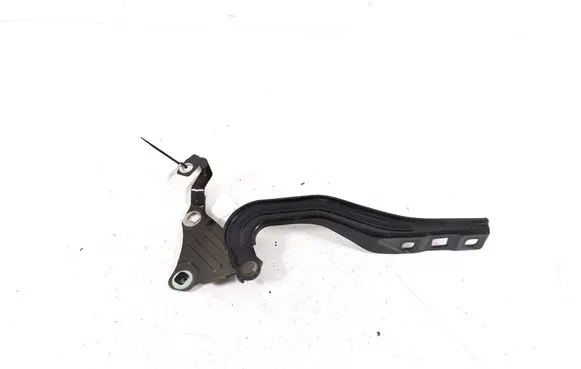 Opel Ampera- E Engine bonnet/hood hinges 