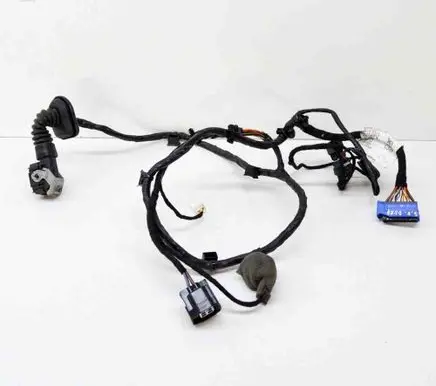 Maserati Quattroporte Rear door wiring loom 670007510 06700075100