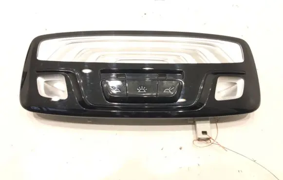 BMW 5 G30 G31 G38 Headlining lighting console trim 