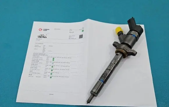 Citroen Xsara Picasso Fuel injector 0445110188 IMPRK1370687