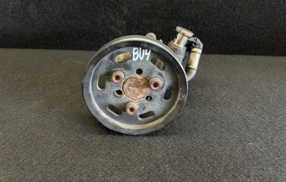 Volkswagen PASSAT B5.5 Power steering pump