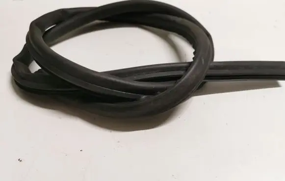 BMW 3 G20 G21 Engine compartment rubber 7419379