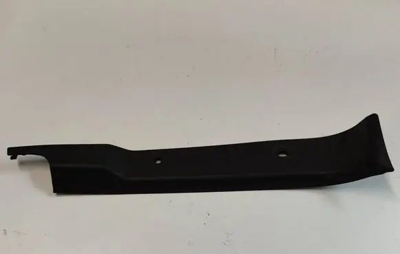 Rear/tail light trim molding