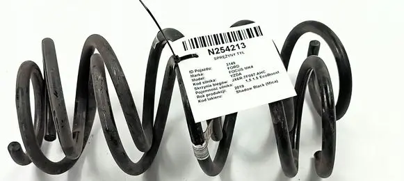 Ford Focus Rear coil spring