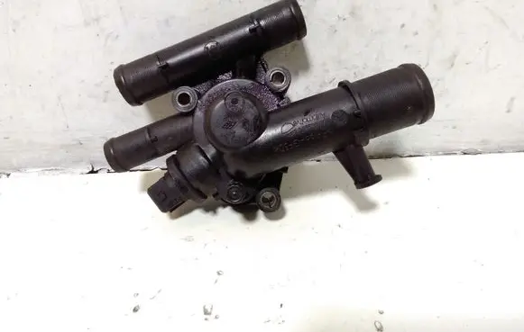 Thermostat/thermostat housing