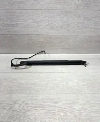 Tailgate/trunk strut/damper