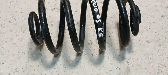 Rear coil spring