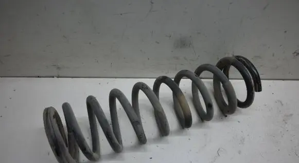 Rear coil spring