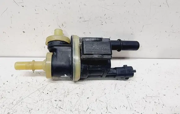 Vacuum valve