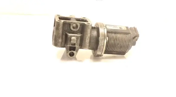 EGR valve