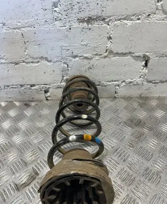 Citroen Berlingo Rear coil spring