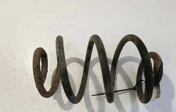Rear coil spring