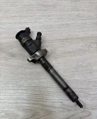 Peugeot 5008 Fuel injector 0445110297 00113 620026