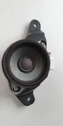 Hyundai Santa Fe Rear door speaker