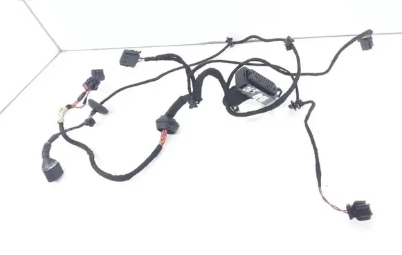 Front door wiring loom