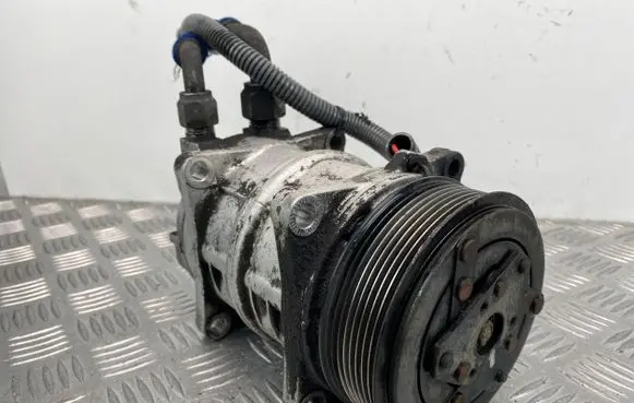 Mercedes-Benz Sprinter W906 Air conditioning (A/C) compressor (pump) 03930013