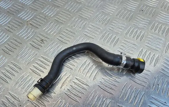 Dacia Sandero III Breather hose/pipe 118260239R