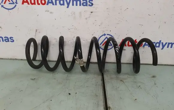 Rear coil spring