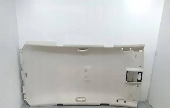 Volkswagen PASSAT B8 Headlining 