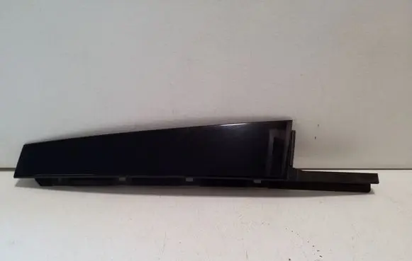 Other rear door trim element