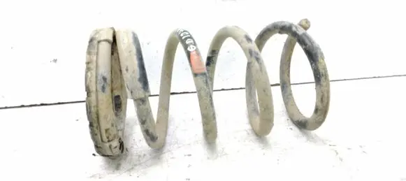 Rear coil spring