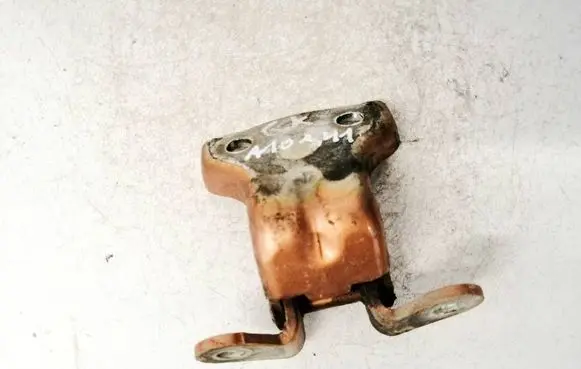 Chevrolet Captiva Rear door lower hinge 06h15