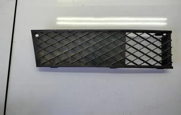 Front bumper lower grill