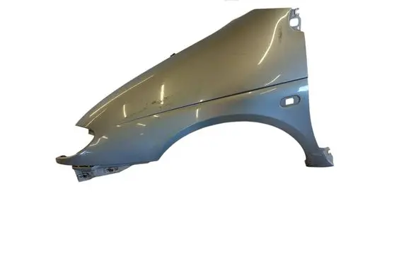 Renault Scenic I Fender