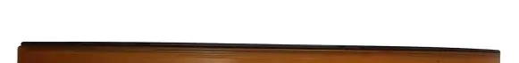 Opel Adam Slide rail for timing chain 55565005