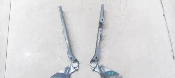 Engine bonnet/hood hinges