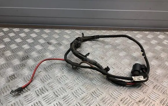 Volkswagen PASSAT B7 USA Other wiring loom 3C1971111AC