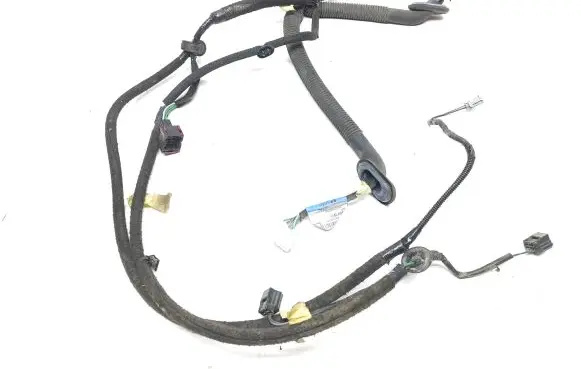 Rear door wiring loom